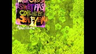 Watch Animal Collective Water Curses video