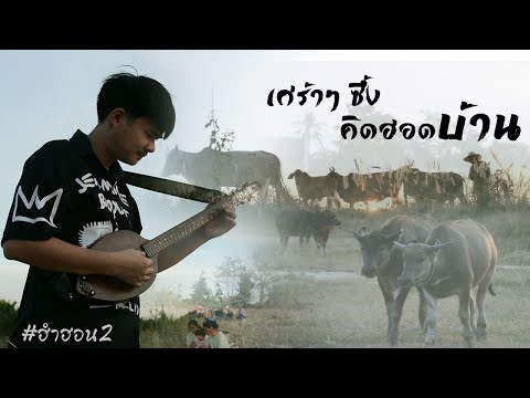 ลายพิณคิดฮอดบ้าน เศร้าๆ ซึ้งๆ - เต้ยสายบ้า(ฮำฮอน2)