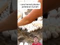 cara hemat membuat teras rumah #viral #trending #information #reaction #shorts