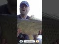 Great fish to end the session! #fishing