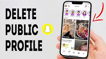 How To Delete Snapchat Public Profile - Full Guide