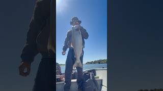 FEATHER RIVER SALMON FISHING CALIFORNIA 9/8/2025