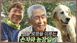 드론으로 농사 짓는 손자와 81살 농부 할아버지‍ 시골살이 로망을 매일 이루다! | 깐깐 할아버지와 모범청년 재훈이 | KBS 인간극장 2021 방송