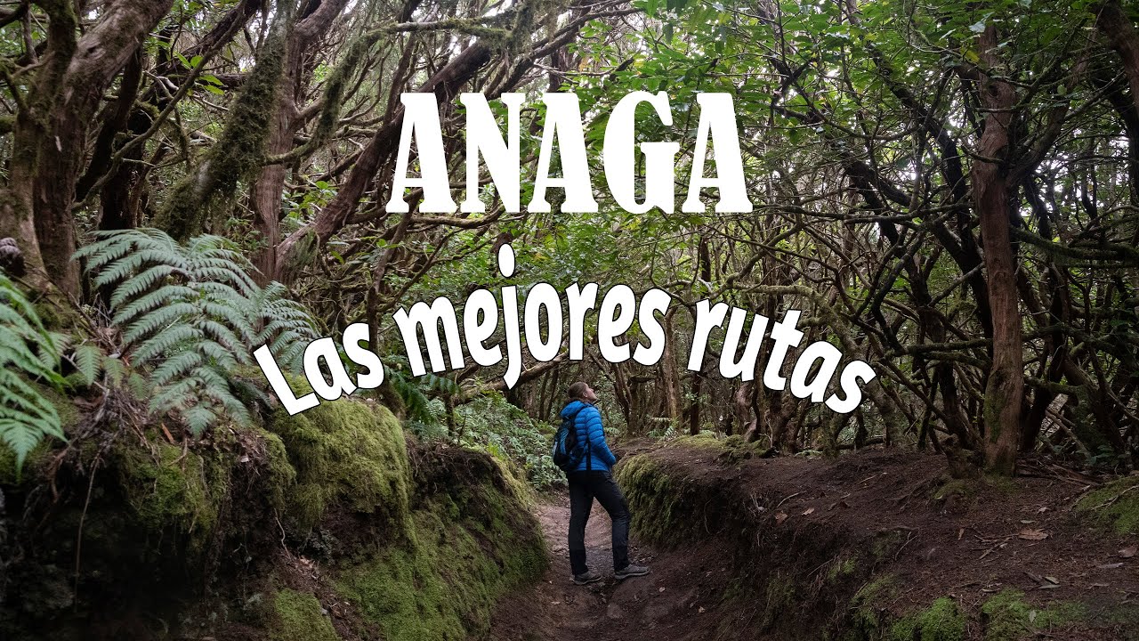 Parque Rural de Anaga en TENERIFE: 2 Rutas Imprescindibles | #12 VIAJE POR LAS ISLAS CANARIAS