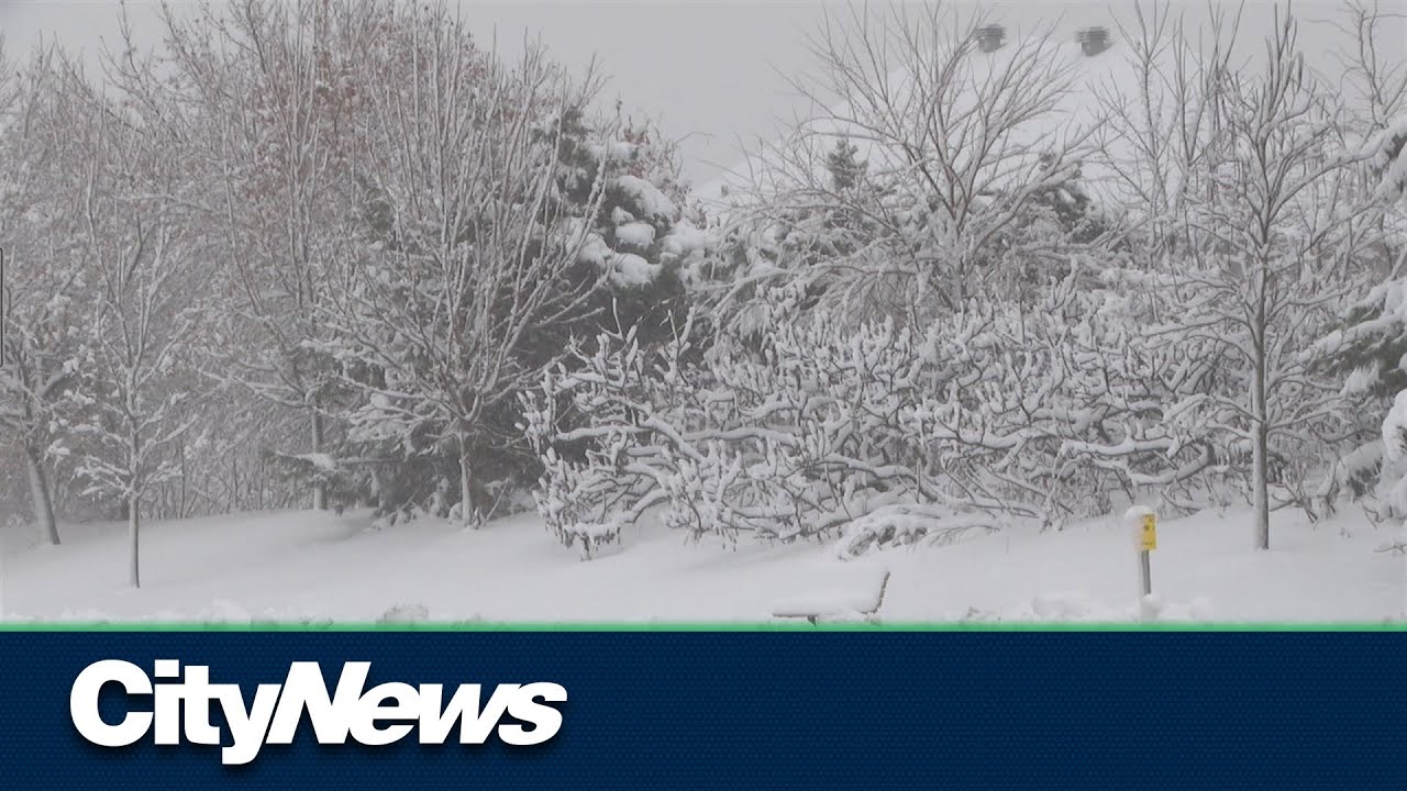 Montreal's first big snow of the season - YouTube