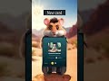 Hamster Kombat New Card صور وبطاقات جديدة لكسب المزيد من النقاط بوت همستر كومبات #hamsterkombat