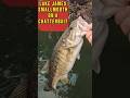 LAKES JAMES SPOTTED BASS ON A CHATTERBAIT