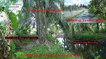 ( đã bán )1500m đến 4000m đất vườn dừa tại xã thạnh nhựt - gò công tây tiền giang