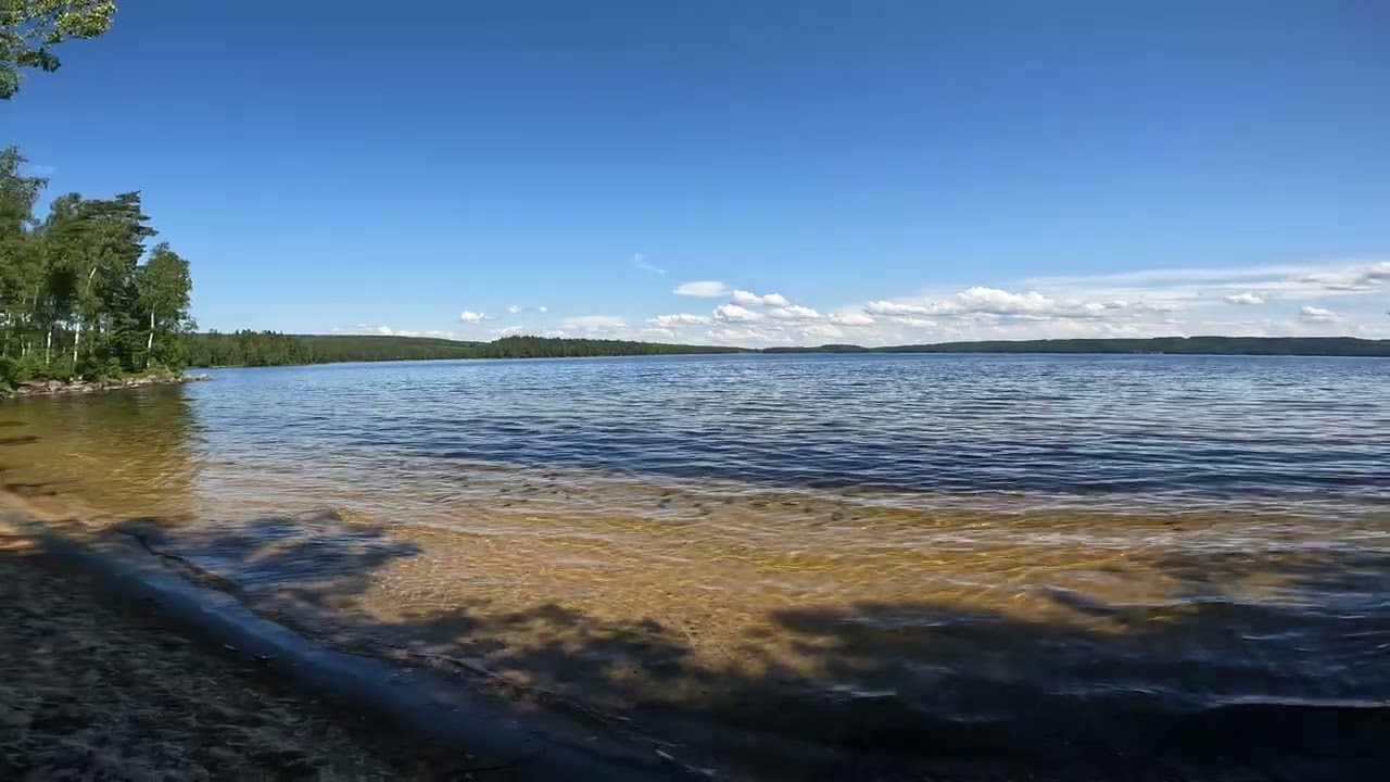 traumhafter Badeplatz am Südufer des Älgsjön www.aelgsjoen.se