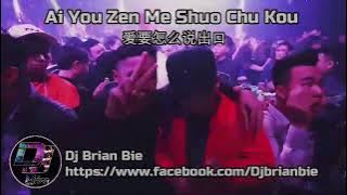 Ai You Zen Me Shuo Chu Kou 爱要怎么说出口 Remix By Dj Brian Bie Tiktok Hot Song