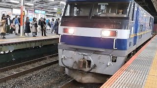 EF210-313[新]牽引コンテナ輸送南浦和通過