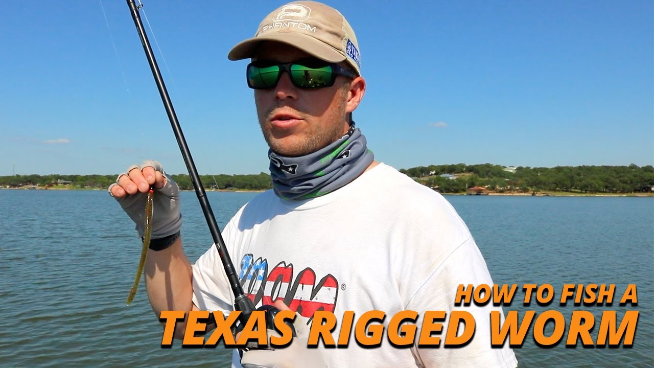 How to Fish a Texas Rigged Worm 