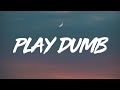 Sia Play Dumb Lyrics mp3