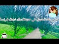 فيروزيات الصباح فى حديقه Saint Cloud فرنسا دقة 4K Music With Nature In Saint Cloud Garden France 