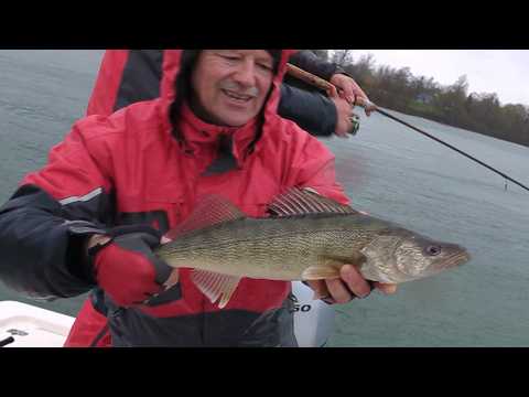 WE'RE SOAKED! Jigging for walleye in the rain