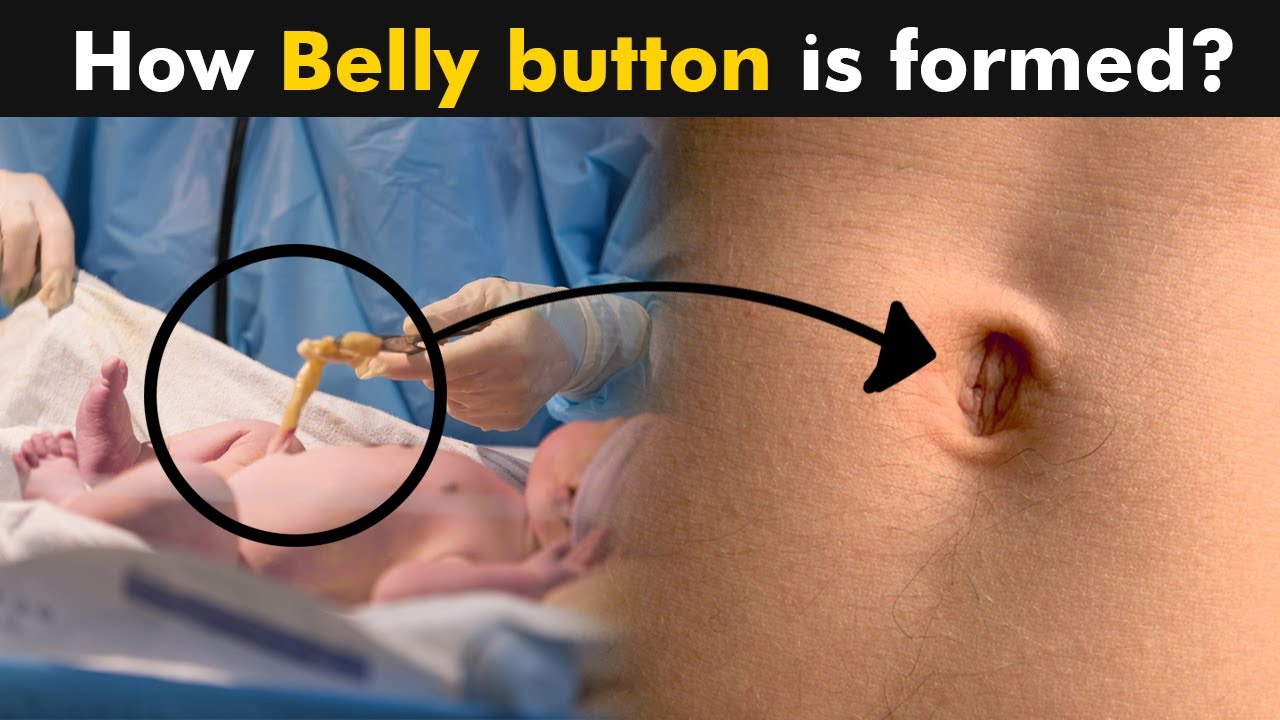 types of belly buttons