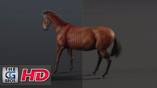 CGI & VFX Demos: 