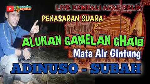 🔴 Telusuri Suara Alunan Gamelan || Ronggeng Adinuso - Subah - Batang