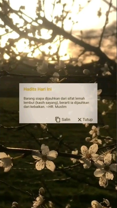 quotes hari ini #reels #allah #islam #agama