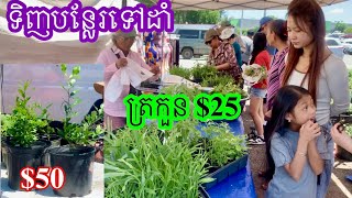 បន្លែរផ្សារមេឃមានច្រើនមុខណាស់។