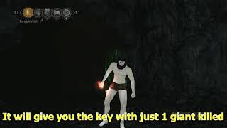 DS2 SotFS Forgotten key glitch + DLC1 key get from Grave of Saints bonfire