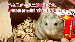ハムスターミニ劇場その9。Hamster Mini Theater Part 9. #薔薇です🌹#baradesu #hamster #ハムスター by 薔薇です🌹のハムスターチャンネル 99 views 6 days ago 10 minutes, 5 seconds