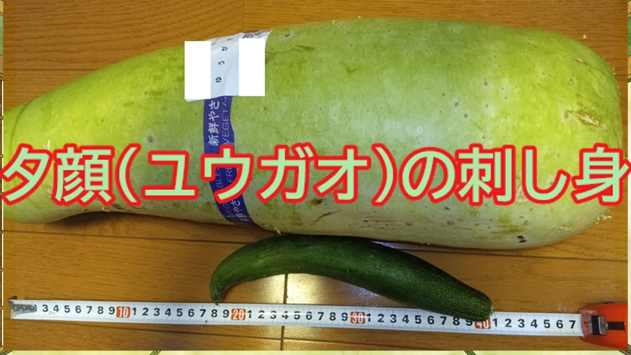 Yukkuri Cooking] Sashimi Made from Giant Bottle Gourd - YouTube