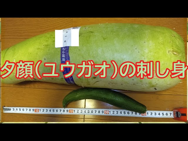 Yukkuri Cooking] Sashimi Made from Giant Bottle Gourd - YouTube