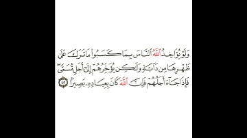 سورة فاطر 20 القسم العشرون تكرار كيفي من .. ولو يؤاخذ الله الناس بما كسبوا .. إلى .. بعباده بصيرا
