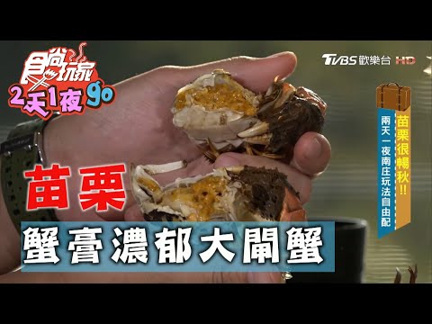 【苗栗】蟹膏濃郁肉質又鮮甜 必嘗當季大閘蟹【食尚玩家2天1夜go】20201021 (5/6)