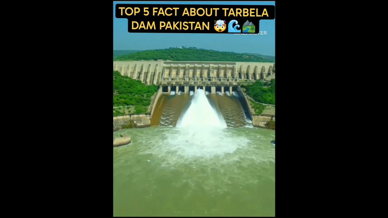 Top 5 Amazing Facts About Tarbela Dam Pakistan 😲🏗️