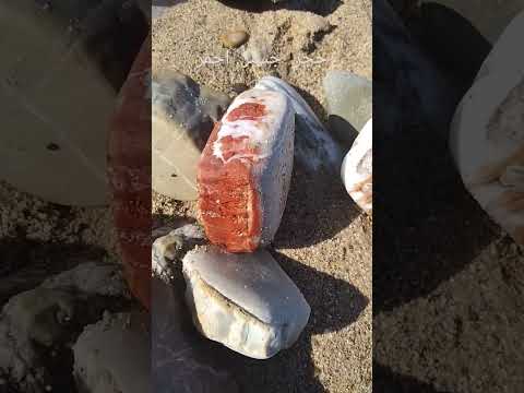 Beautiful Red Jaspe حجر جسبر احمر رائع 