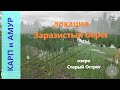 Русская рыбалка 4 - озеро Старый Острог - Карп и амур на клубничку