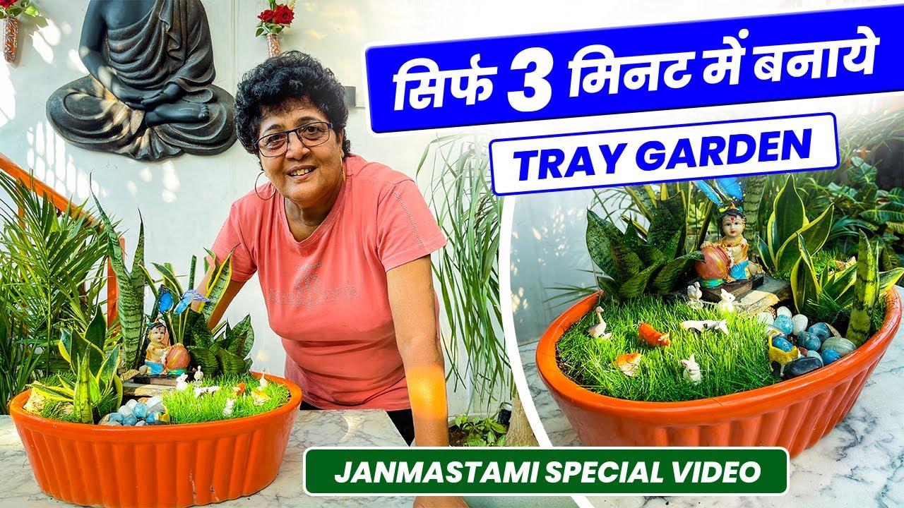 सिर्फ़ 3 मिनट में बनाये जन्माष्टमी स्पेशल ट्रे गार्डन 😮  Janmastami Special Tray Garden🪴