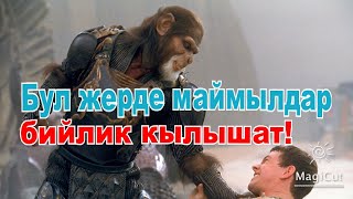 видео: Бул жерде маймылдар бийлик кылышат!#кино #кыска #кыргызча картинка: Бул жерде маймылдар бийлик кылышат!#кино #кыска #кыргызча