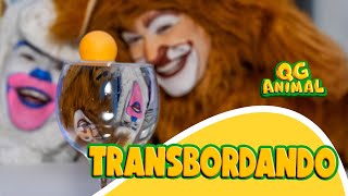 QG Animal brincando de Transbordando