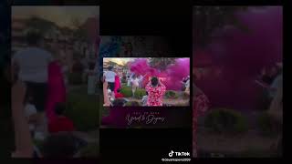 Extravagant Smoke Bomb Gender Reveal