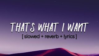 THATS WHAT I WANT || Lil Nas X || [ slowed   reverb   lyrics ] #4k #music