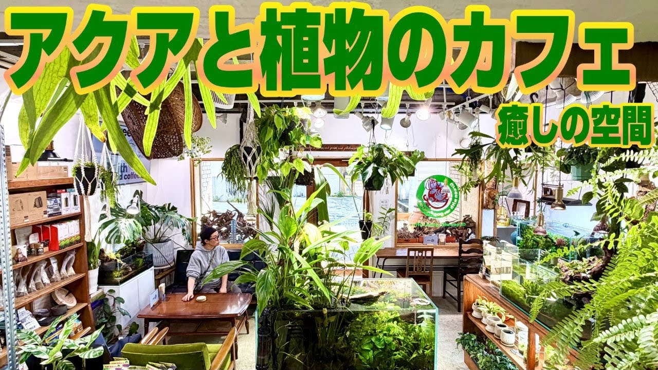 植物と本格的なアクアリウムで癒されるカフェに遊びにきませんか？（ADA特約店のカフェ！グリーンウィズグッドコーヒーはどんなお店？）