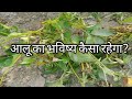 #viralvideo #आलू का भविष्य कैसा रहेगा 2023 ! आलू ब्लॉग #mrniranjanvlog