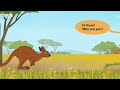 Meet the Animals 45: Red Kangaroo
