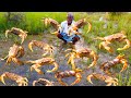 CRAB RICE !!! | Nandu Sadam | 50 Country Crab prepared by uncle | food fun village