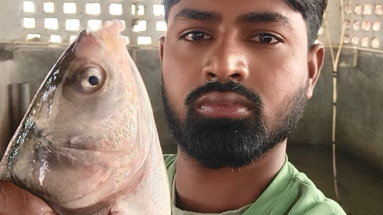 How to fish cutting & selling Gorakhpur live ! मछली कटिंग लाइव प्रसारण मछली मार्केट में। 