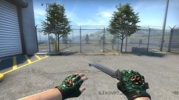 Broken Fang Gloves Jade Field-tested | Skin Showcase