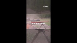 Beginner Rifle Zero Mistake😮