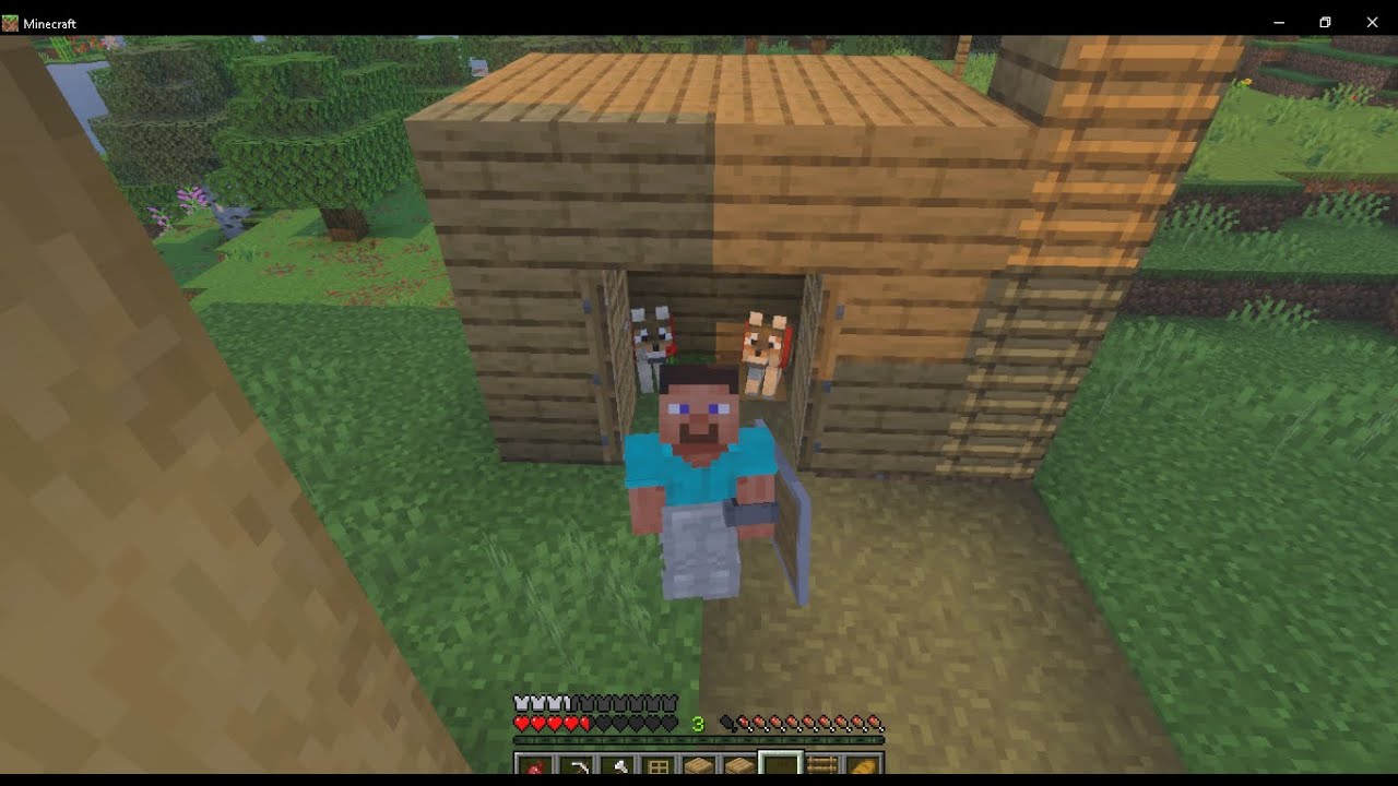 Minecraft I do for my 2 dogs a house