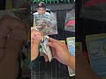 Rayquaza vmax alt art pull from evolving skies sleeved booster pack