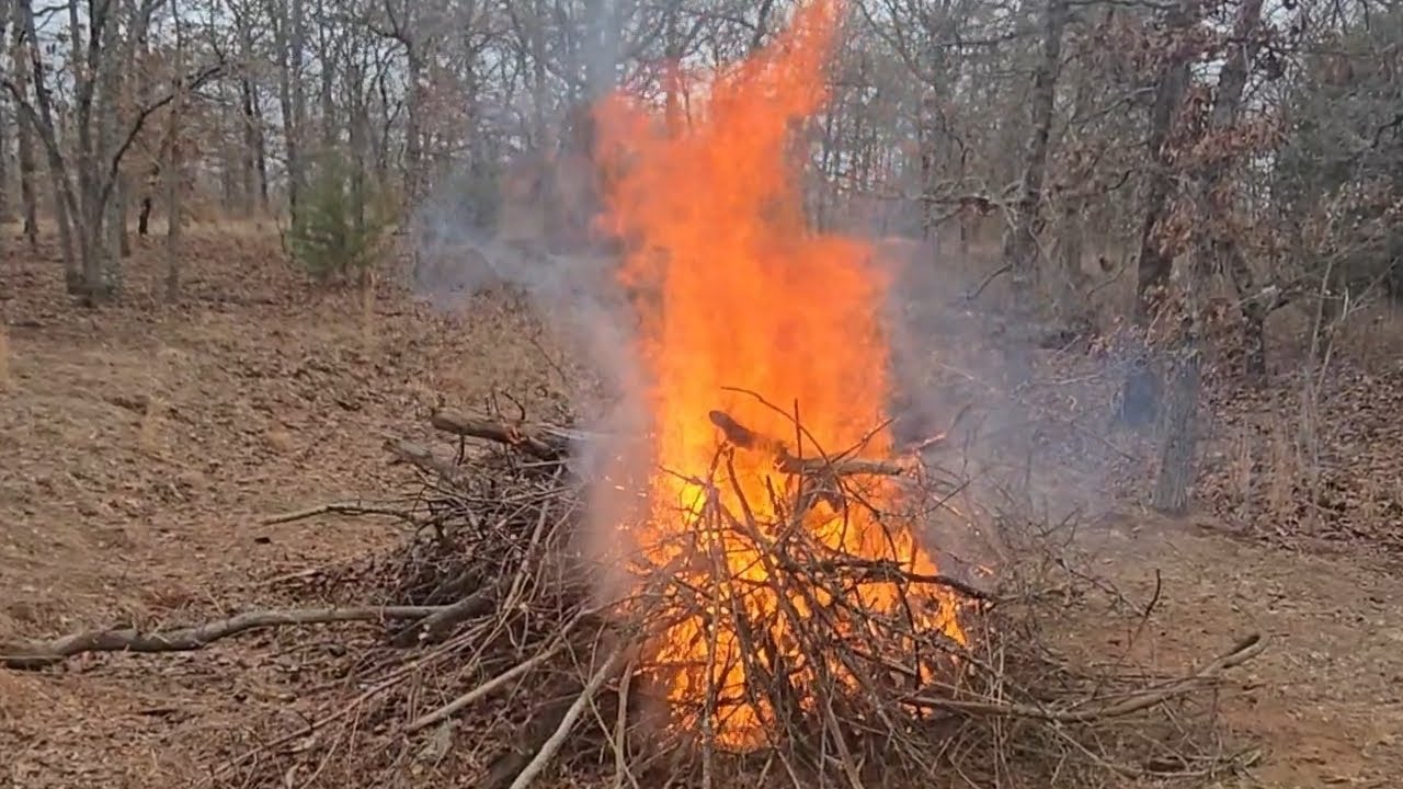 Bonfire, Clearing with Chainsaws Around the Land