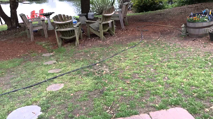 Back yard.