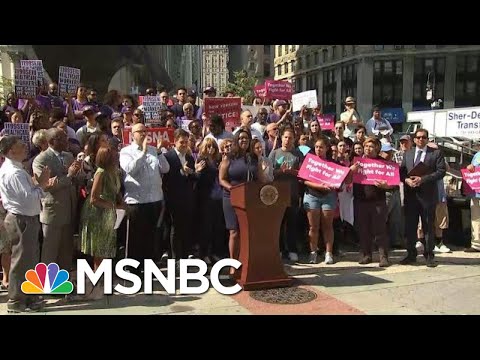 What Is The 'Public Charge' Rule In Lawsuit Against President Donald Trump? | Hallie Jackson | MSNBC